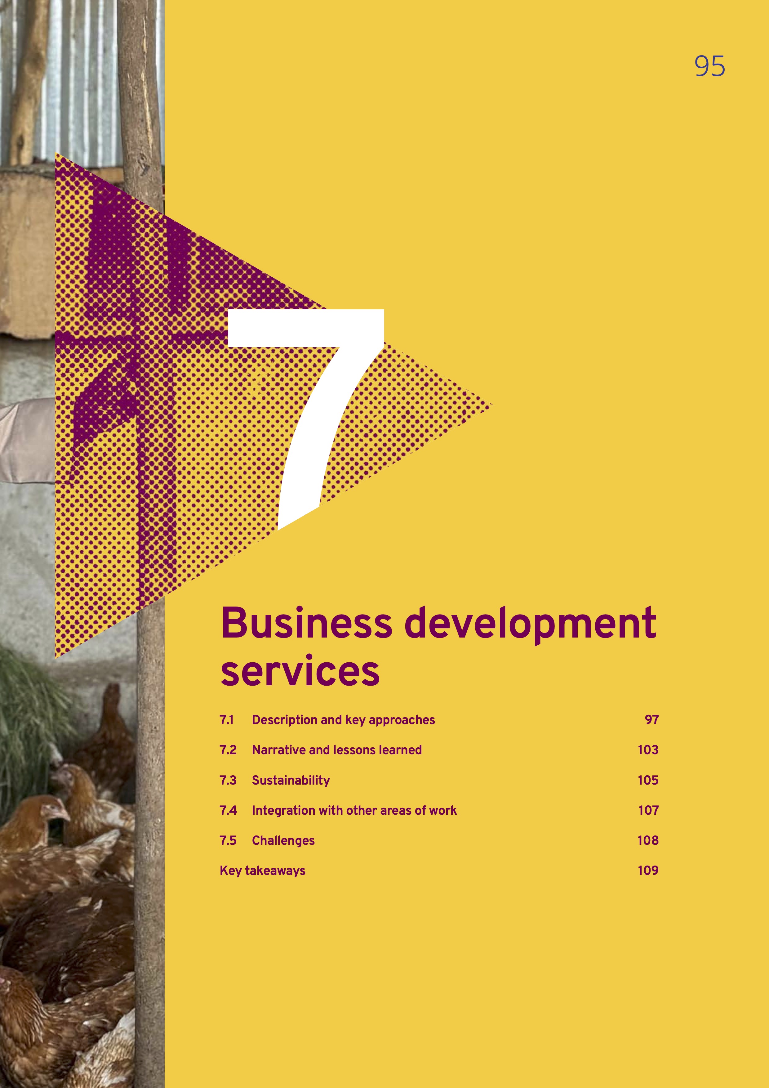 Business development services 