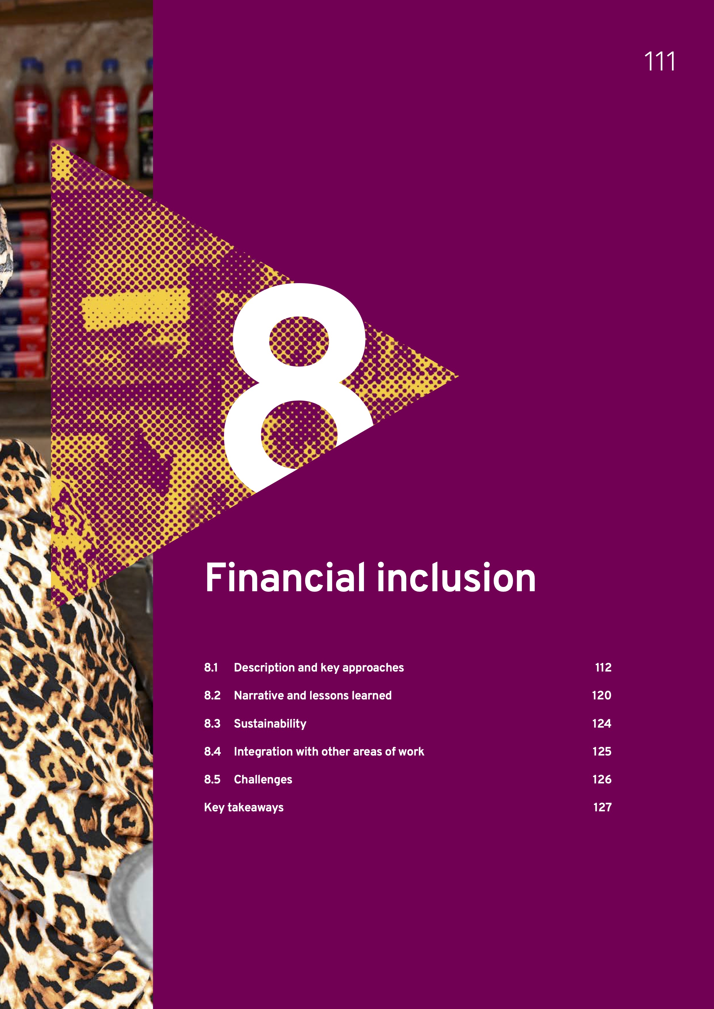 Financial inclusion 