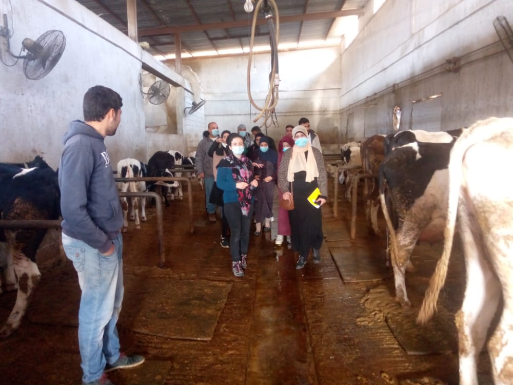 Market-based skills training in dairy farming – a success story
