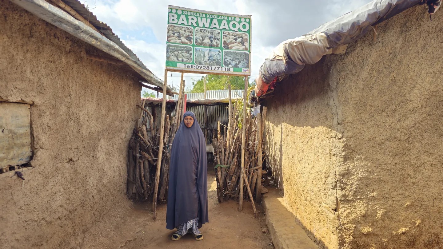 Success story of a female Somali refugee aiming to launch a livestock cooperative