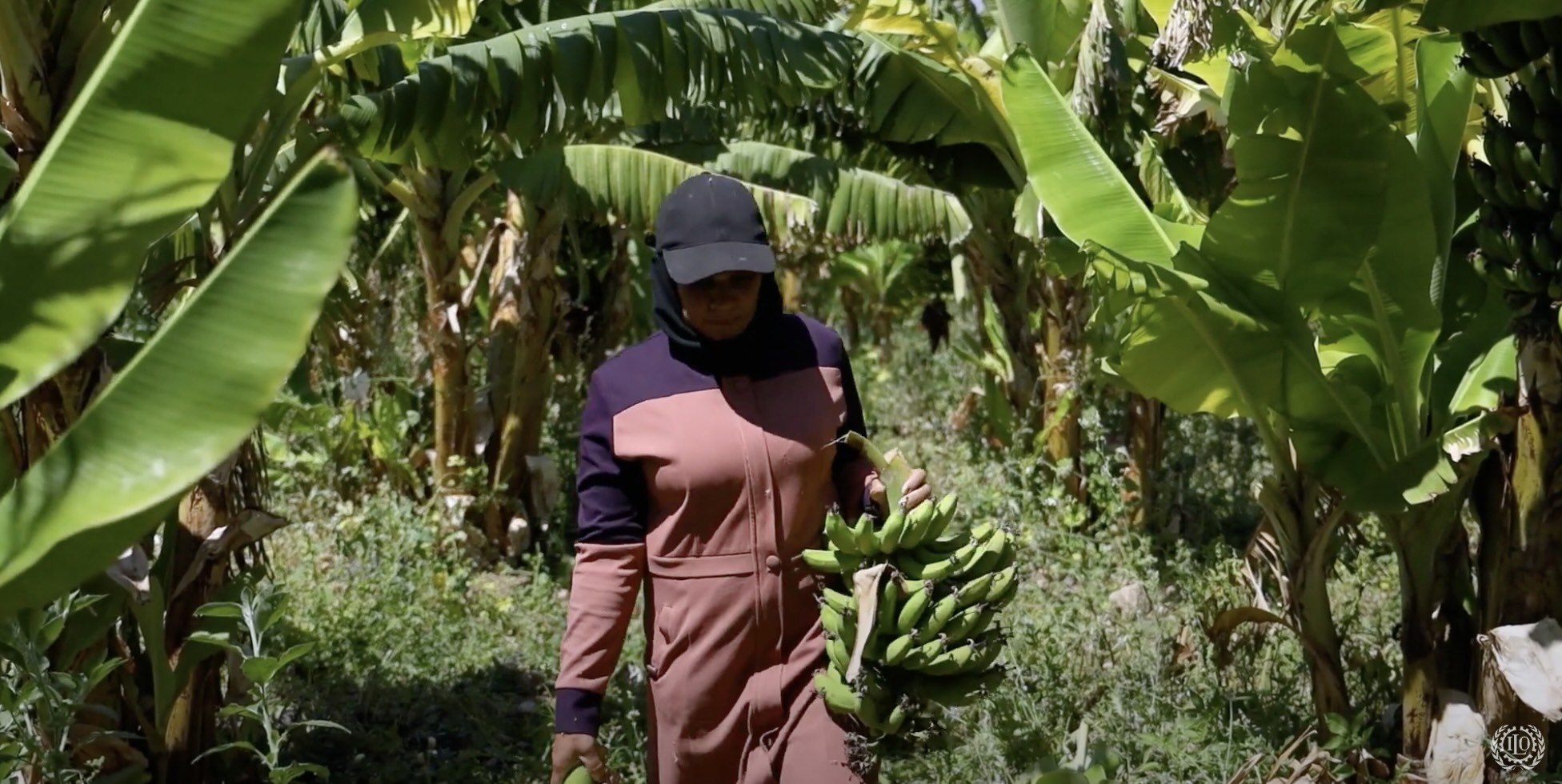 Success story of changing lives through decent jobs