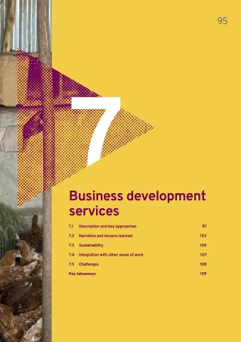 Business development services 