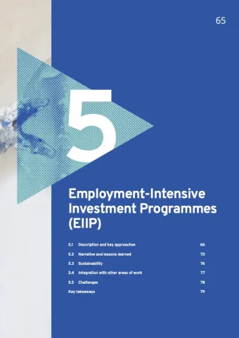 image of the cover for Chapter 5 Employment-Intensive Investment Programmes 