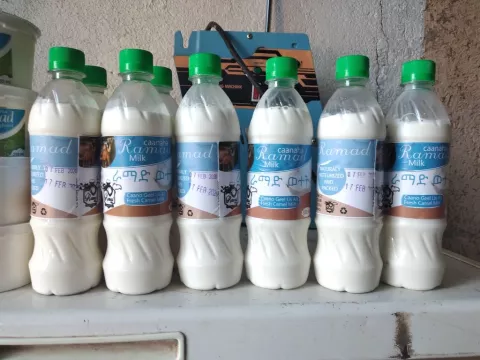Image of a line of bottled camel milk